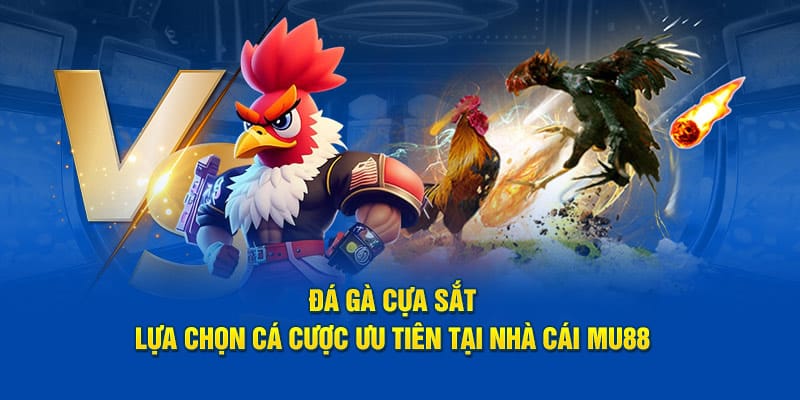 đá gà cựa sắt mu88